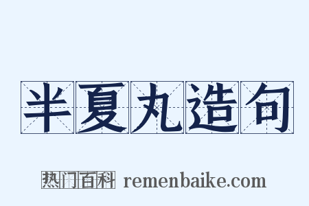 半夏丸造句是什么意思的图片